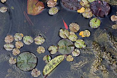 《漫威蜘蛛侠2》首发24小时 销量超过了250万套